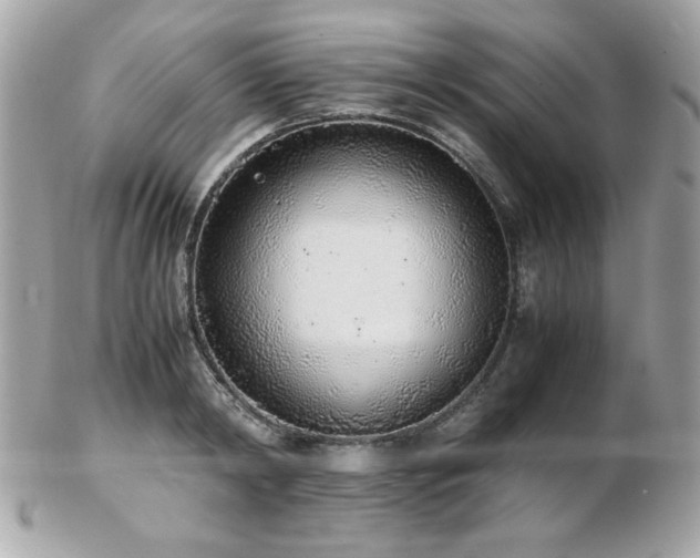 X0000103270798200808291239