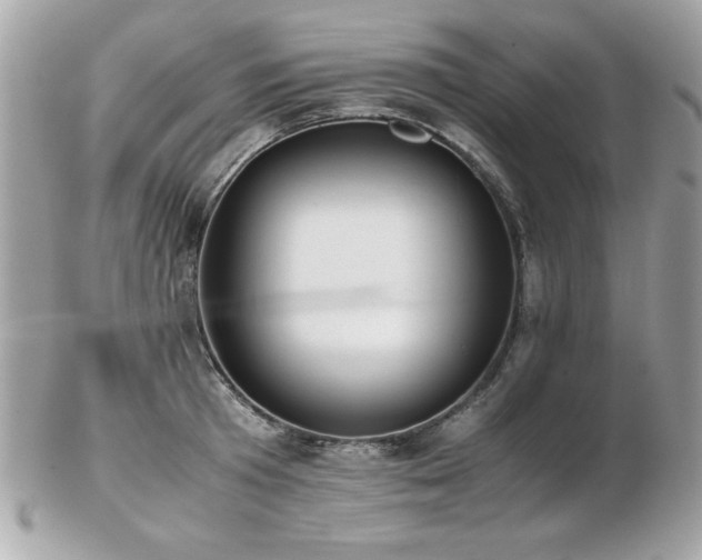 X0000103270801200808291239