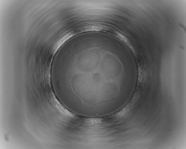 X0000103270802200808291239