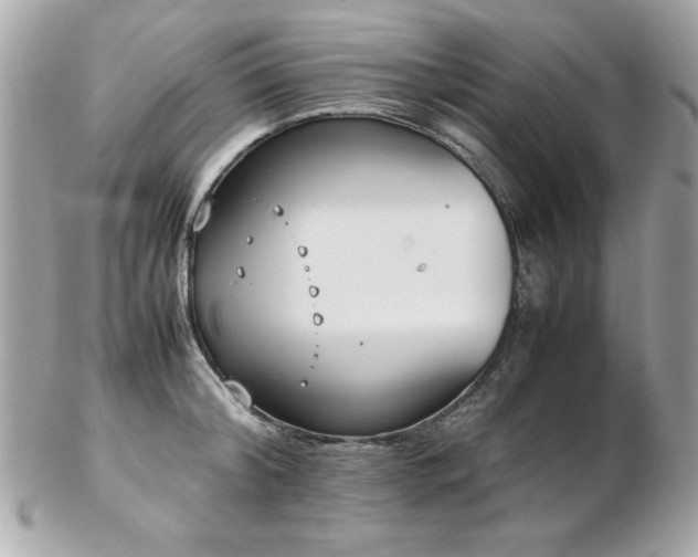 X0000103270804200808291239