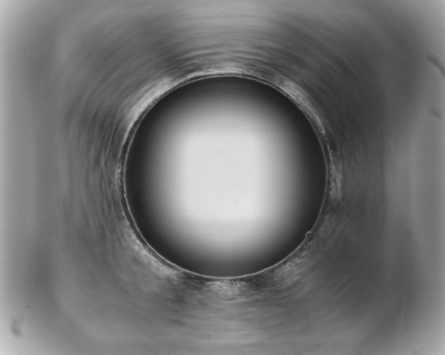 X0000103270805200808291239