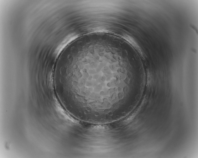 X0000103270806200808291239