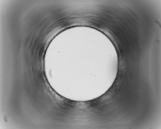 X0000103270807200808291239