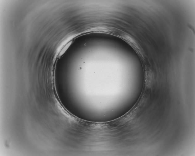 X0000103270808200808291239