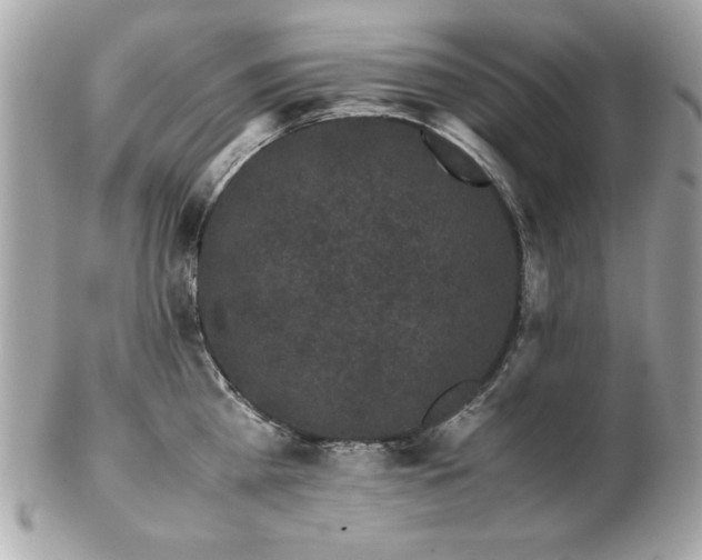 X0000103270809200808291239