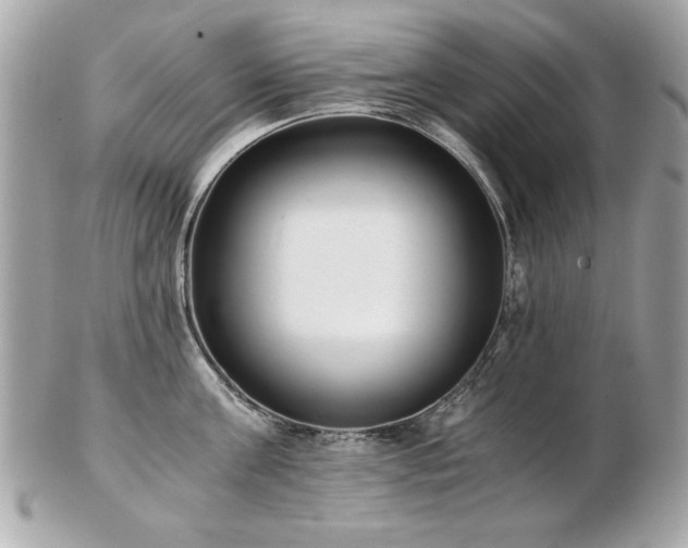 X0000103270811200808291238