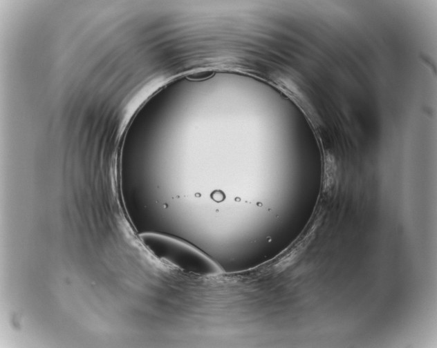 X0000103270812200808291238