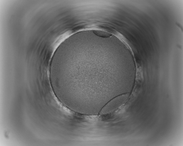 X0000103270813200808291238