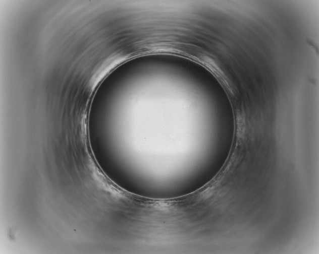 X0000103270814200808291238