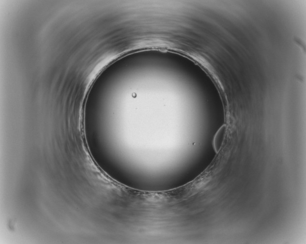 X0000103270815200808291238