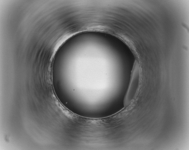 X0000103270816200808291238