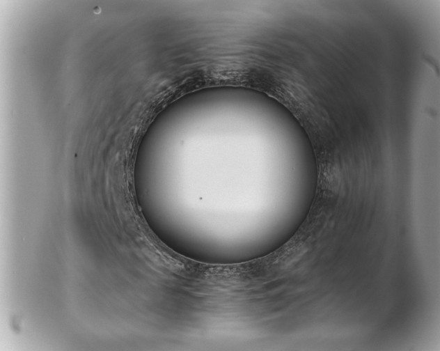 X0000103270817200808291238