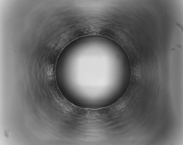 X0000103270818200808291238