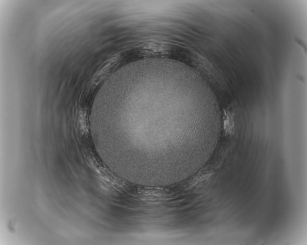 X0000103270819200808291238