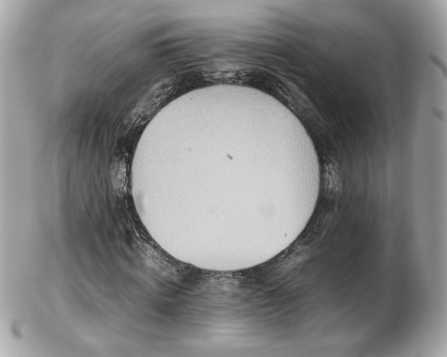 X0000103270820200808291238