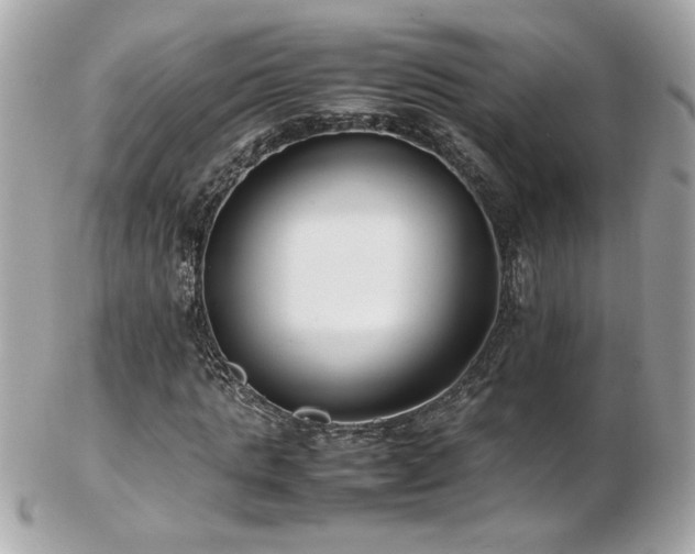 X0000103270821200808291238