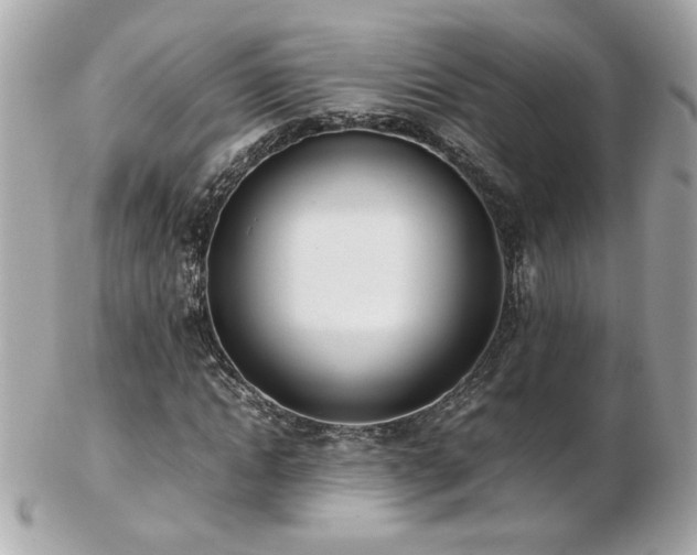 X0000103270822200808291238