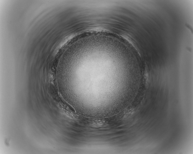 X0000103270823200808291238