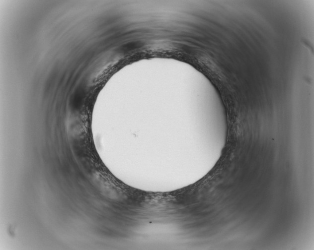 X0000103270824200808291238