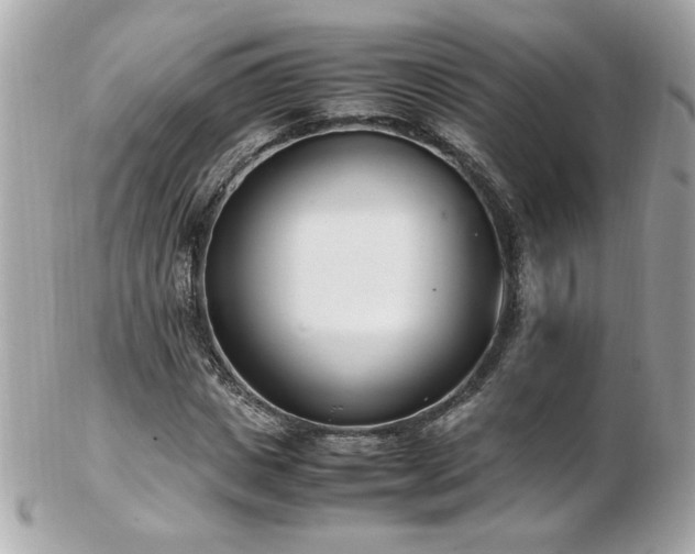 X0000103270825200808291238