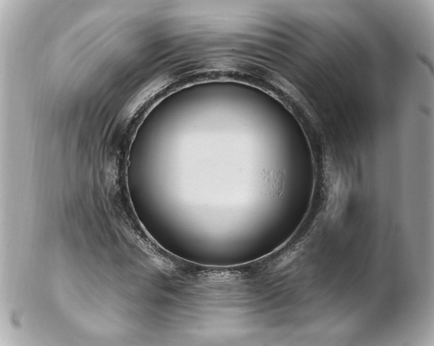 X0000103270826200808291238