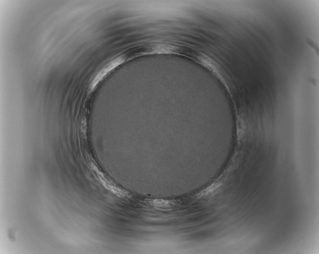 X0000103270827200808291238