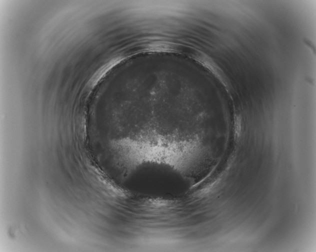 X0000103270829200808291238