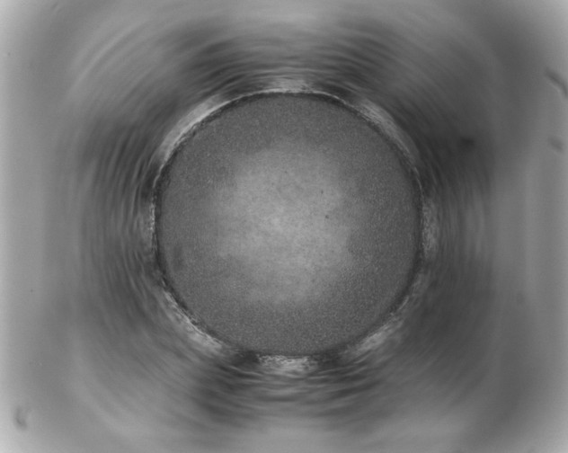 X0000103270831200808291238