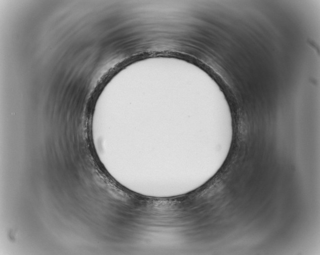 X0000103270832200808291238