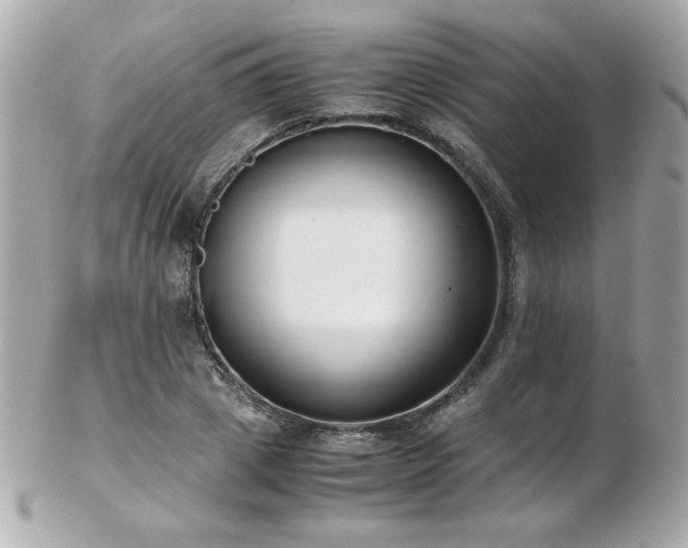 X0000103270833200808291238