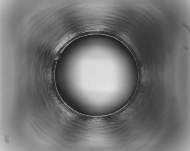 X0000103270834200808291238