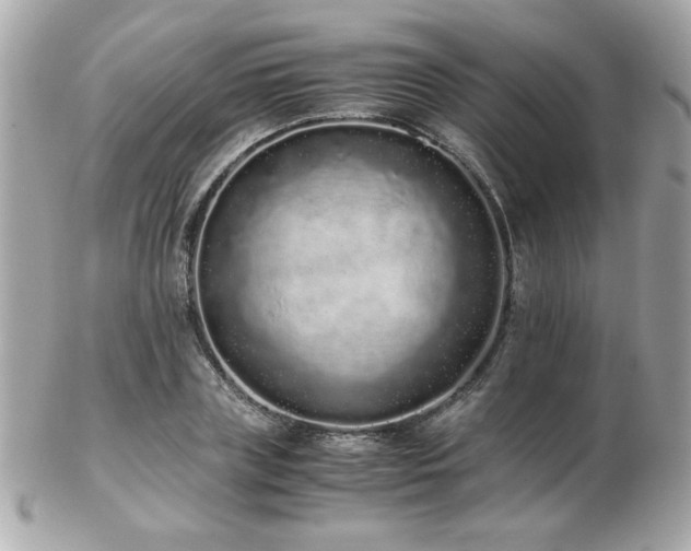 X0000103270835200808291238