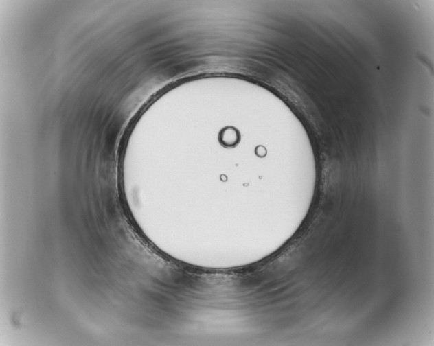 X0000103270836200808291238