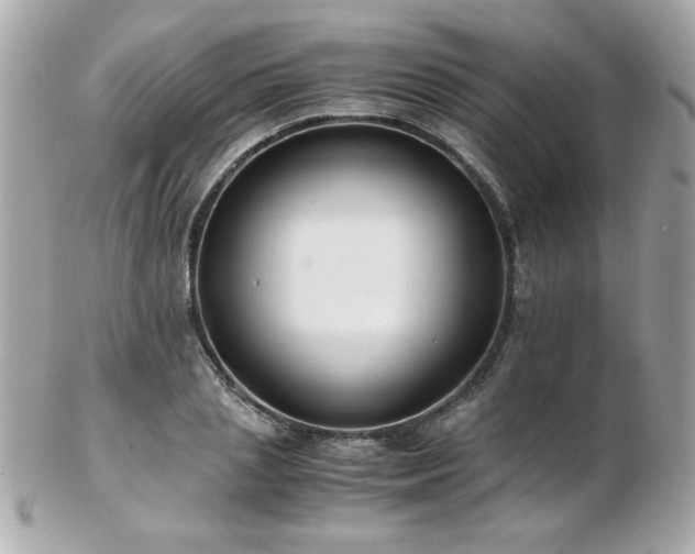 X0000103270837200808291238