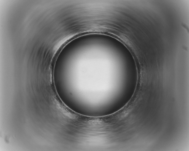 X0000103270838200808291238