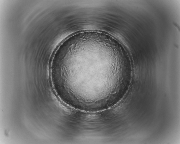 X0000103270839200808291238