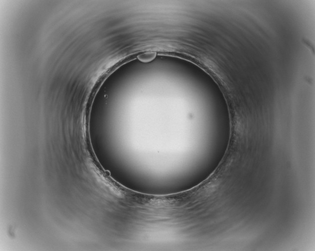 X0000103270840200808291238