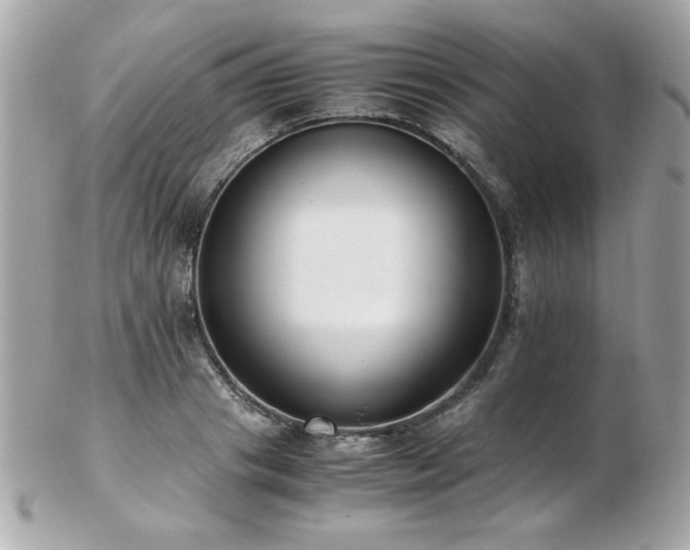 X0000103270841200808291238