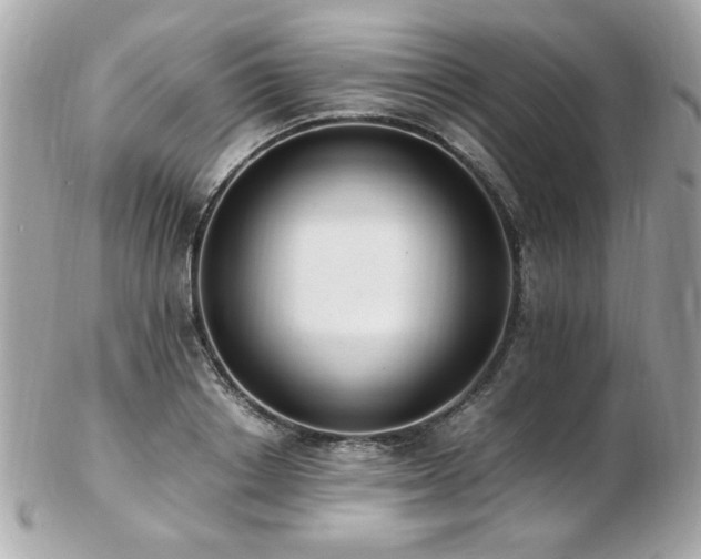 X0000103270842200808291238