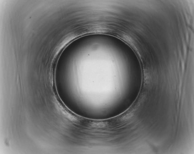 X0000103270843200808291238