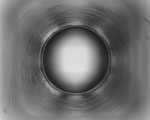 X0000103270845200808291238