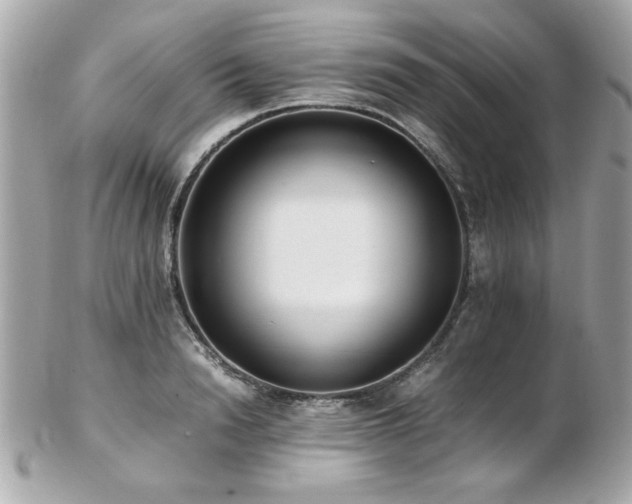 X0000103270846200808291238