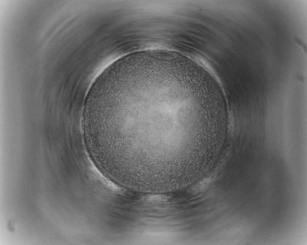 X0000103270847200808291238