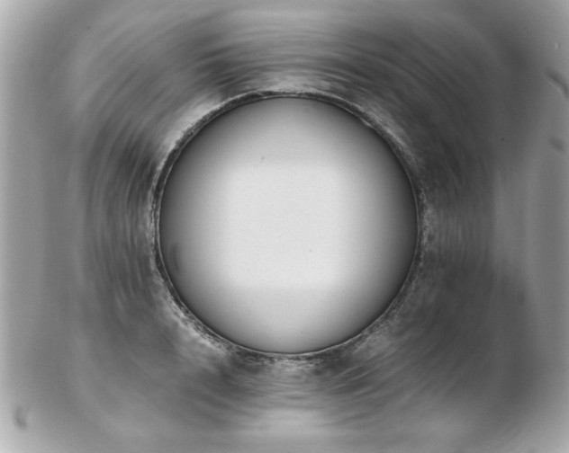 X0000103270848200808291238