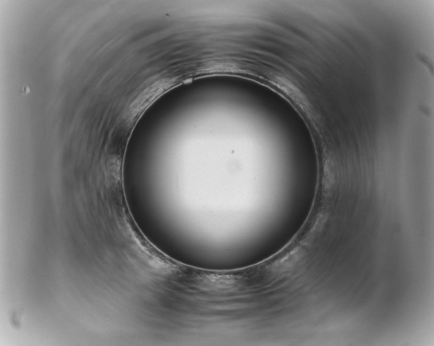 X0000103270849200808291238