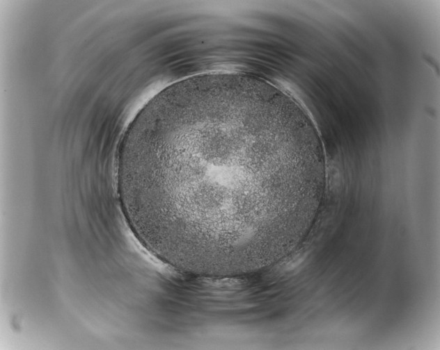 X0000103270851200808291238