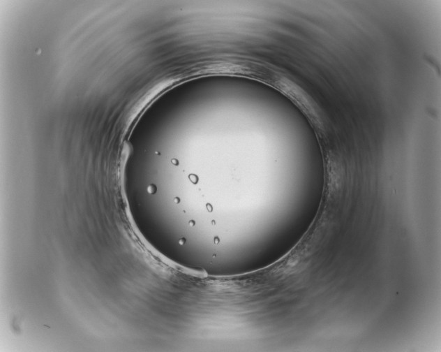 X0000103270852200808291238