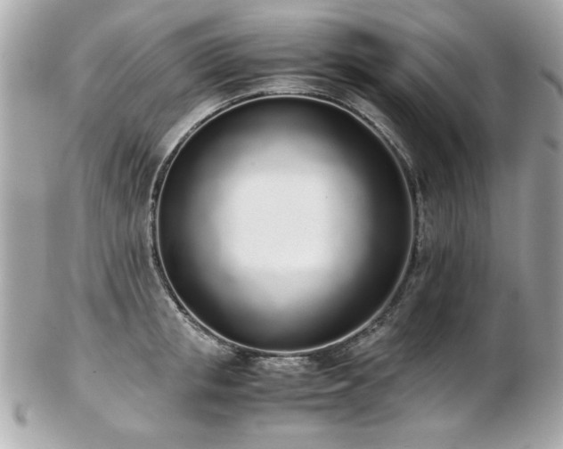 X0000103270853200808291238