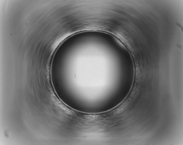 X0000103270854200808291238