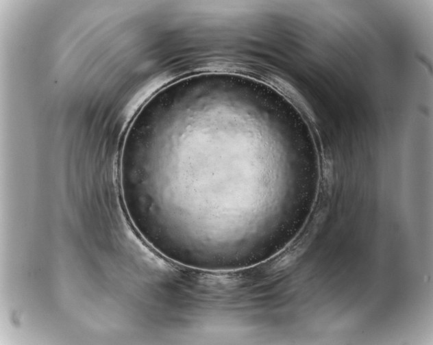 X0000103270855200808291238